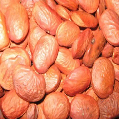 Karanj (Pongamia) Oil
